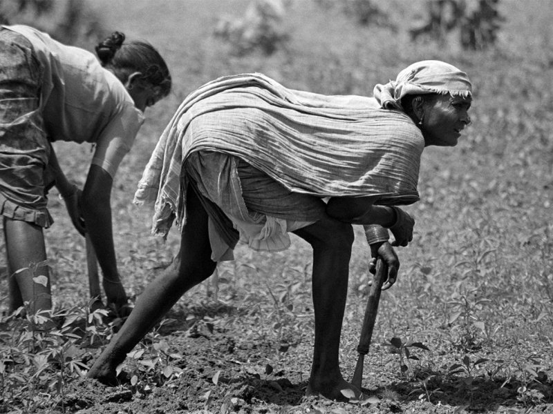 People’s Archive of Rural&nbsp;India